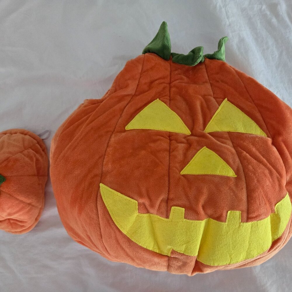 Pottery Barn Pumpkin Costume